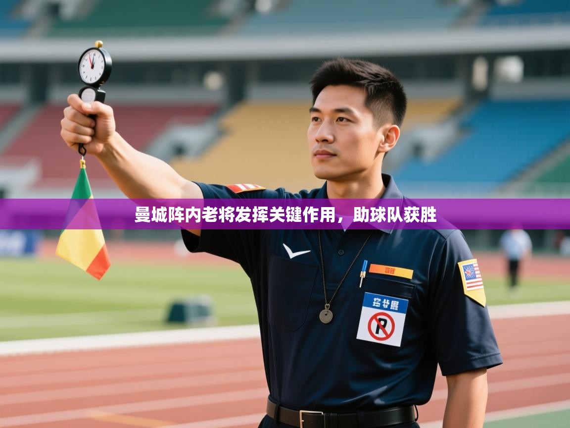 曼城阵内老将发挥关键作用,助球队获胜 第2张